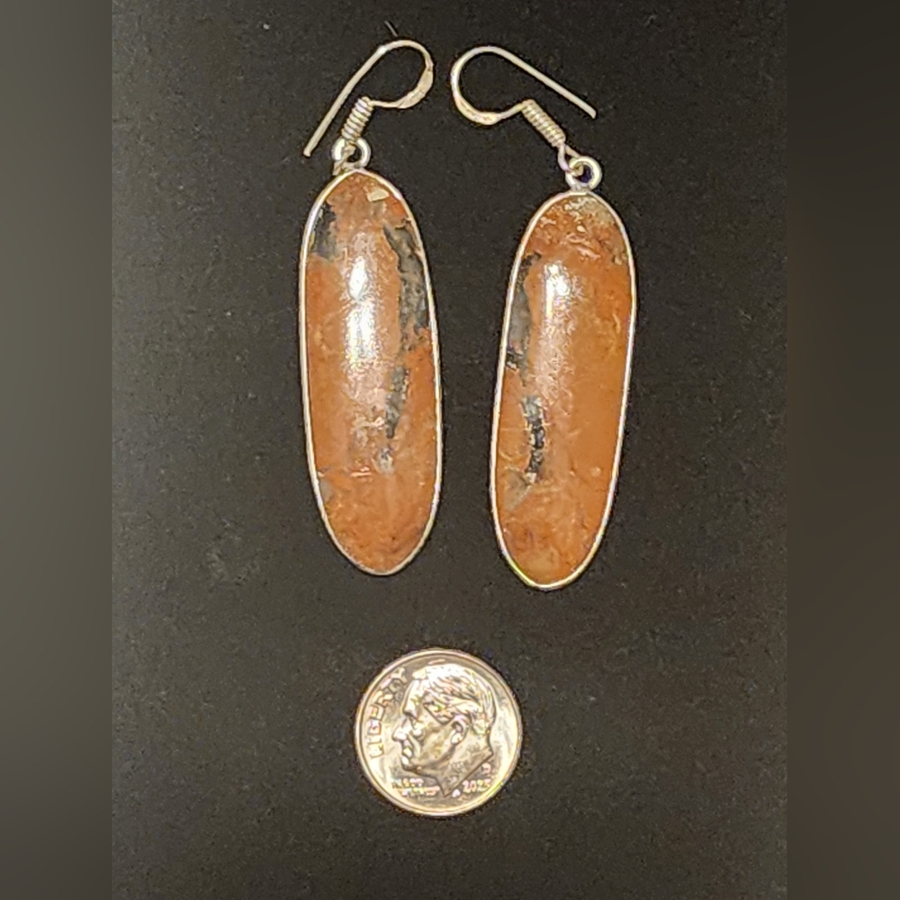 Bloodstone Earrings ♥️